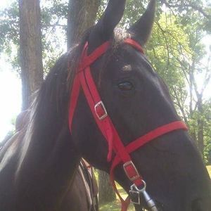 Meet your Posher, Christine